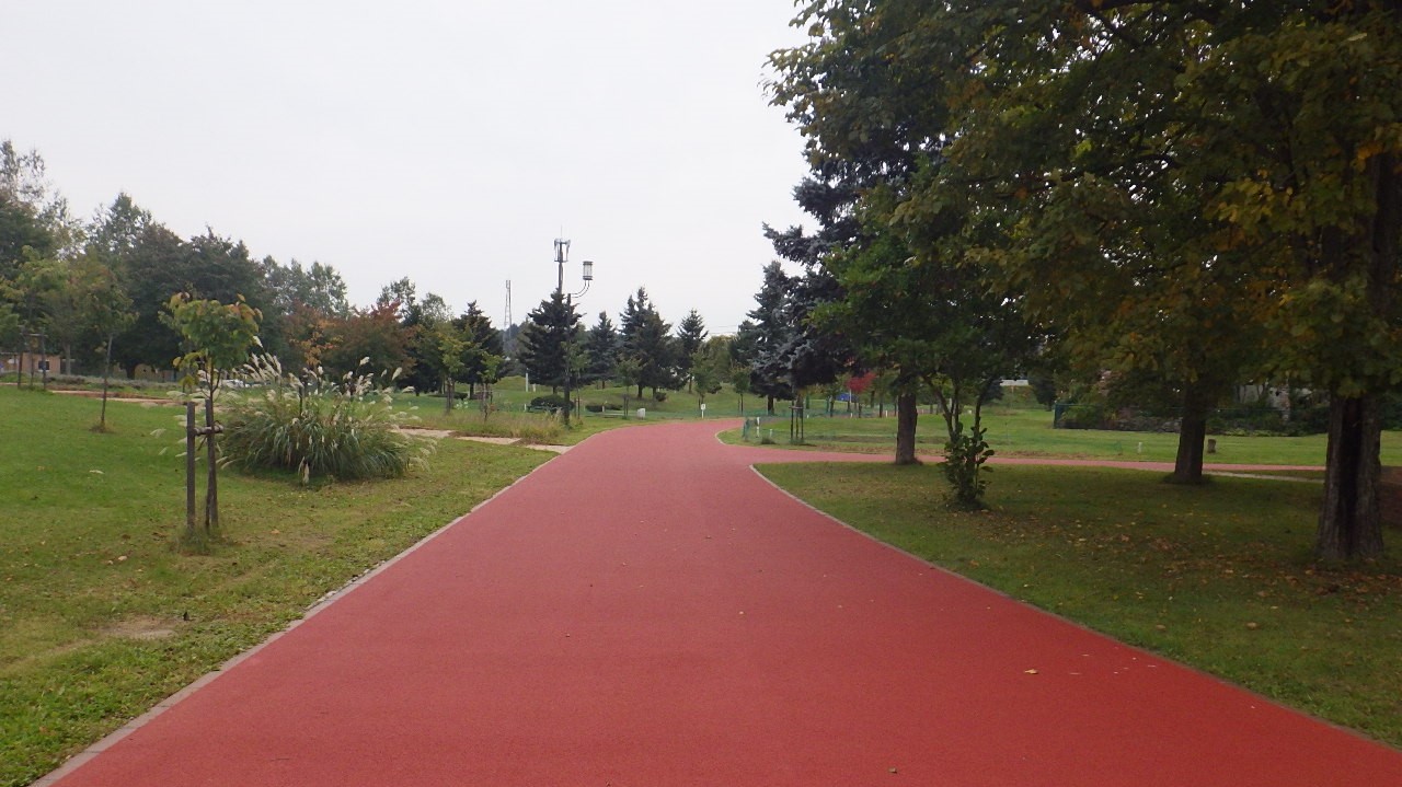 忠和公園ジョギングコース整備 荒井建設株式会社 忠和公園ジョギングコース整備 荒井建設株式会社